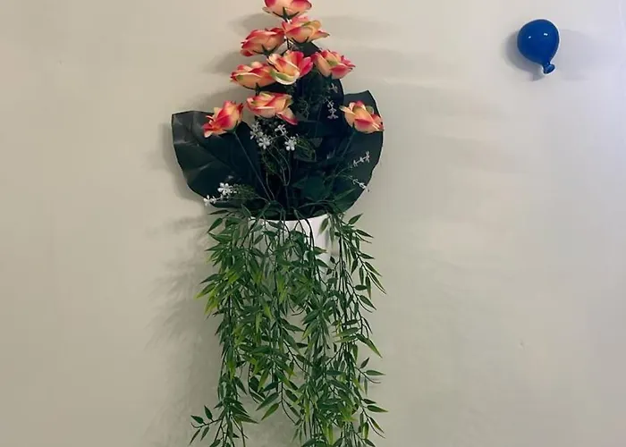 Brother's House شقة *