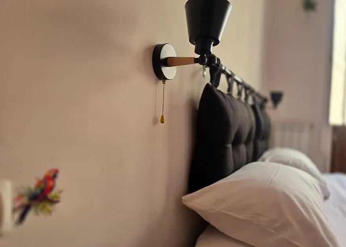 Brother's House ساليرنو